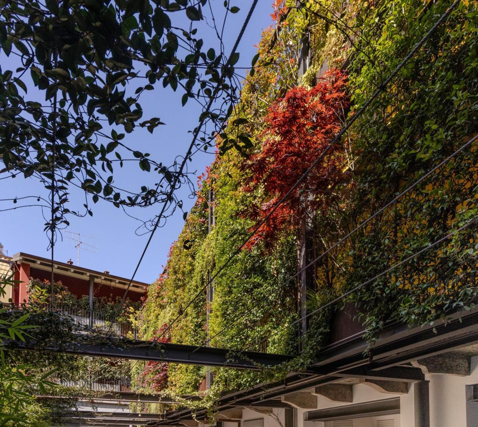 Residence Casa Coppa Appartamento Maple Omegna Dış mekan fotoğraf