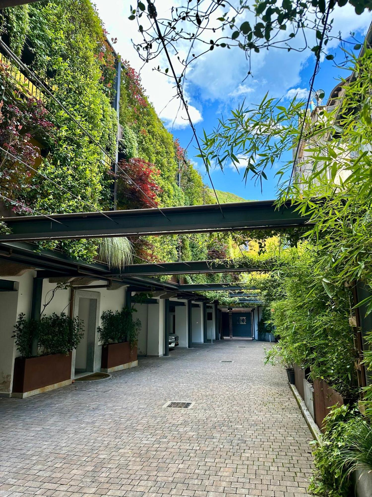 Residence Casa Coppa Appartamento Maple Omegna Dış mekan fotoğraf