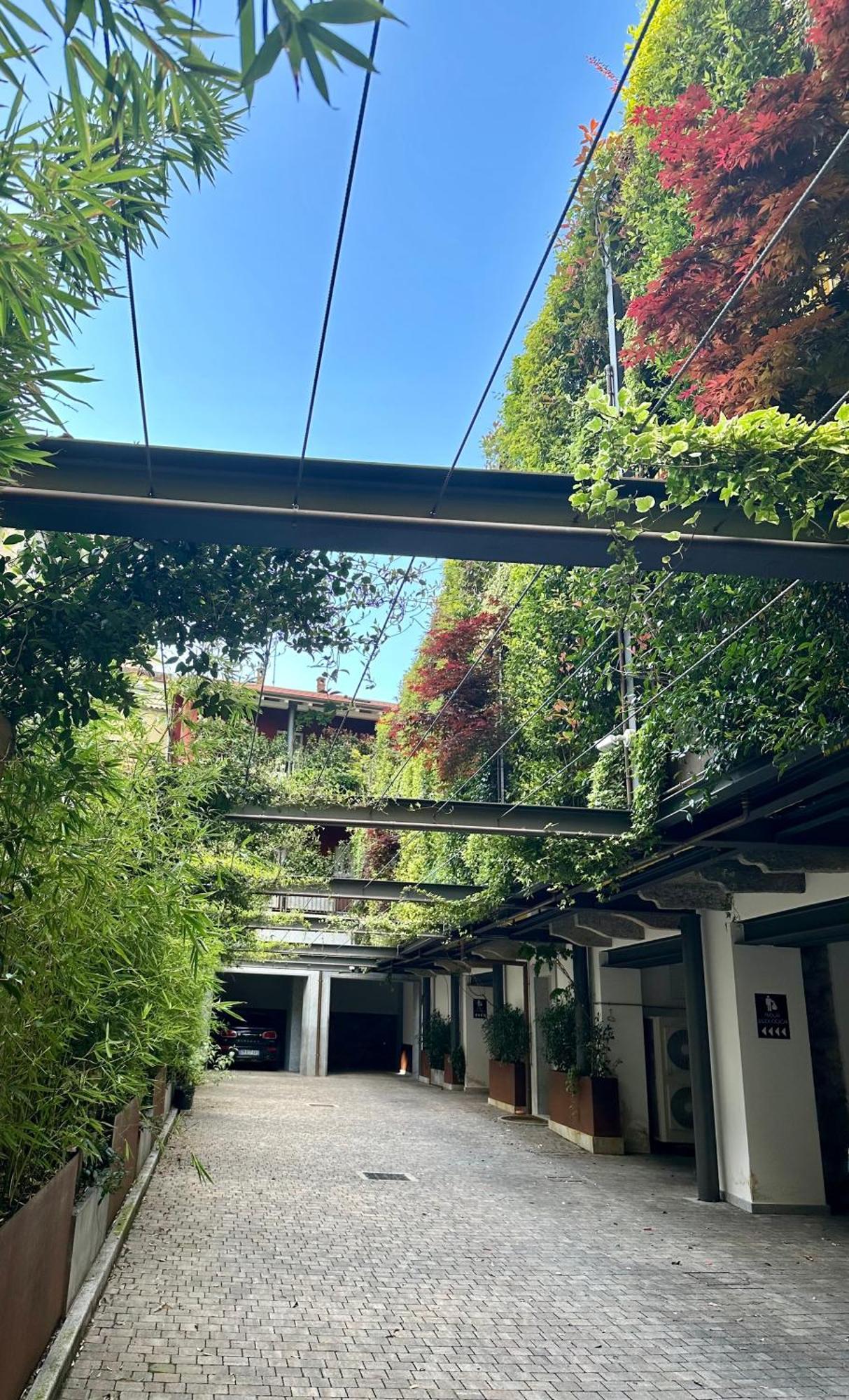 Residence Casa Coppa Appartamento Maple Omegna Dış mekan fotoğraf